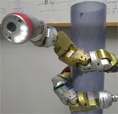 Robot rắn