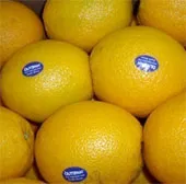 Lật tẩy hoa quả Trung Quốc mác "xịn"