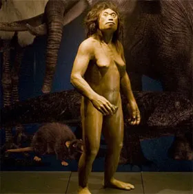 Khám phá mới về "người hobbit”