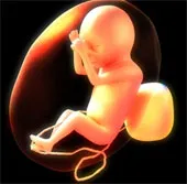 Xét nghiệm nhau thai giúp phát hiện nguy cơ tự kỷ