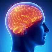 Não người trầm cảm "lạc nhịp" với thế giới bên ngoài