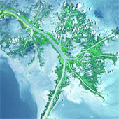 Các đồng bằng trên thế giới đang bị đe dọa