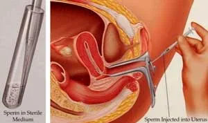 Trung Quốc cấm sử dụng thương mại trứng người