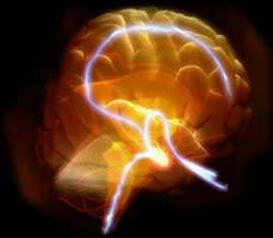 Sự thật và ngộ nhận trong khoa học - Những vụ lừa dối trong khoa học