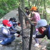 Sinh viên bảo vệ động vật hoang dã