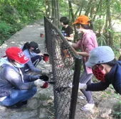 Sinh viên bảo vệ động vật hoang dã