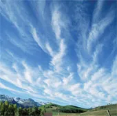 Sự sống trên Trái Đất sẽ biến mất vì thiếu CO2