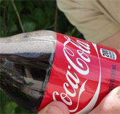 Giải thích vì sao không ăn kẹo Mentos cùng với uống Coca cola