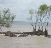 SimCLIM giúp xây dựng kịch bản biến đổi khí hậu