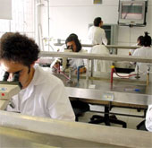 Các nhà khoa học giải thích lý do vi khuẩn nhờn thuốc