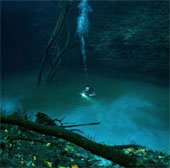 Vẻ đẹp huyền bí mê hoặc dưới đáy sông