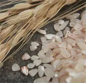 Dùng vỏ trấu để sản xuất pin điện
