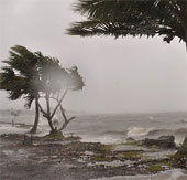 Biến đổi khí hậu 