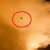 Ếch "bay" cùng tàu vũ trụ của NASA