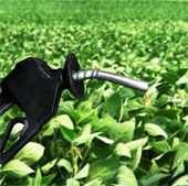 EP ủng hộ việc chuyển đổi sử dụng nhiên liệu sinh học