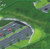 Singapore xây cầu sinh thái đầu tiên ở Đông Nam Á