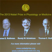 Công bố chủ nhân của Giải Nobel Y học năm 2013