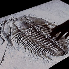 Chạm và “cảm giác” trên màn hình