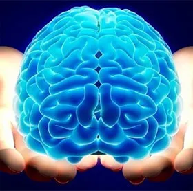 Các lầm tưởng "ngớ ngẩn" thời Hy Lạp cổ đại về con người