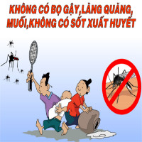 Sốt xuất huyết: Nguyên nhân, triệu chứng và cách phòng bệnh