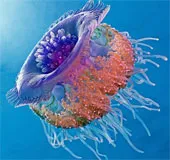 Chùm ảnh tuyệt đẹp về động vật