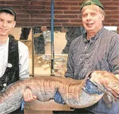 Bắt được con lươn biển "cụ" trăm tuổi
