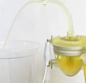 Khám phá mới về công dụng "khó tin" từ nước tiểu