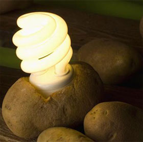 Thắp sáng đèn led bằng khoai tây