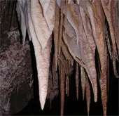 Hệ sinh thái kỳ lạ trong lòng đất