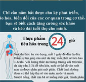 Chu kỳ hoạt động của các bộ phận trong cơ thể