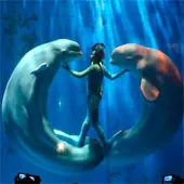 Cá heo trắng "khiêu vũ" tuyệt đẹp cùng con người