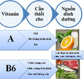 Những vitamin không thể thiếu cho cơ thể