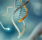 Kẹp DNA giúp chẩn đoán đột biến di truyền gây ung thư