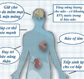 Lợi ích thiết thực của việc uống đủ nước