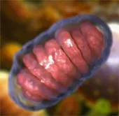 Có thể dự đoán chính xác tuổi thọ con người