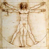 Khám phá bác bỏ "Người Vitruvius" của Da Vinci là hoàn hảo