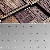 Công nghệ in tế bào giống in mộc bản với tỉ lệ sống gần 100%
