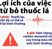 Lợi ích của việc bỏ thuốc lá