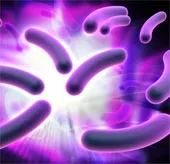 Phát hiện vi khuẩn "ăn" electron