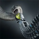 Vòi voi robot
