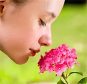 Mũi người ngửi được 1.000 tỷ mùi khác nhau