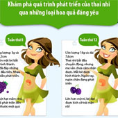 Liên tưởng thú vị về sự phát triển của thai nhi qua các loại quả