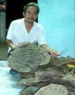 Nuôi cấy thành công 14 loại nấm dược liệu quý