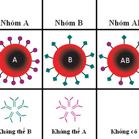 5 điều về sức khỏe có liên quan tới nhóm máu của bạn