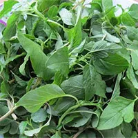 Có thể thay thế rau xanh bằng trái cây được không?