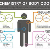 Hôi nách, thối chân, hôi miệng do đâu?