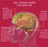 Say rượu dưới góc nhìn khoa học