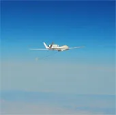 Mỹ chế tạo “UAV động vật”, có khả năng “ăn cắp điện”