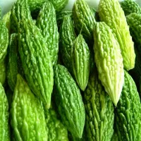 Một số bệnh cần tránh không nên ăn mướp đắng