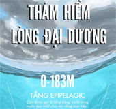 Thám hiểm lòng đại dương